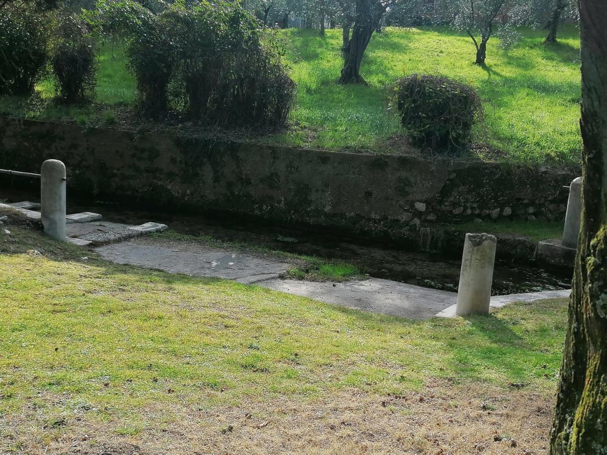 Bilocale Papavero, Magnolia O Girasole San Felice del Benaco Eksteriør billede