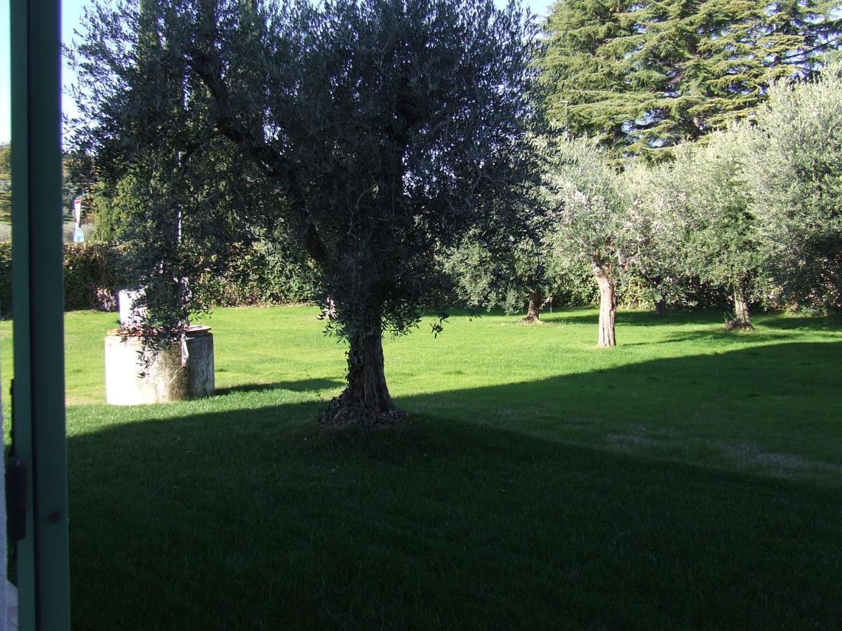 Bilocale Papavero, Magnolia O Girasole San Felice del Benaco Eksteriør billede